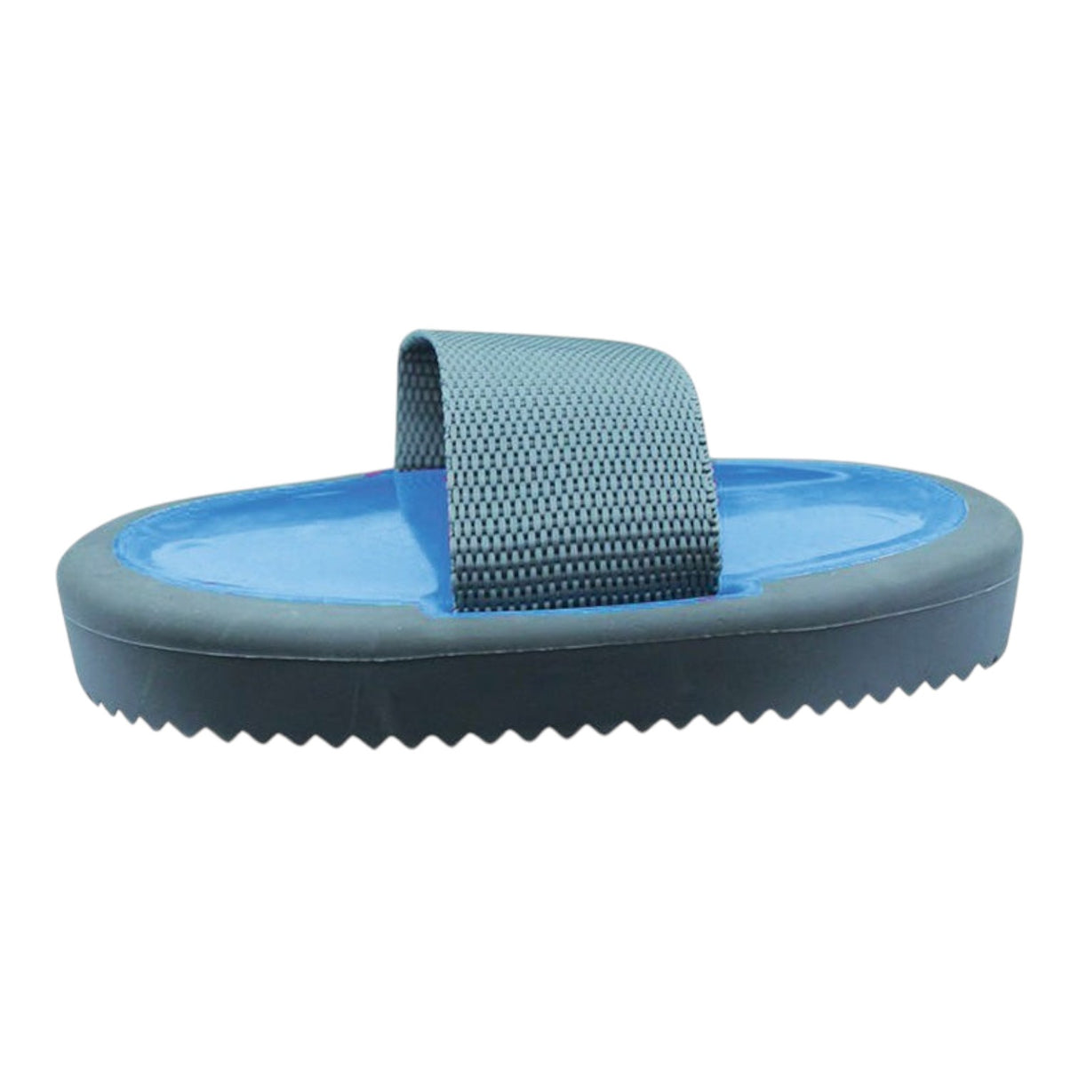 Two Tone Rubber Curry Comb