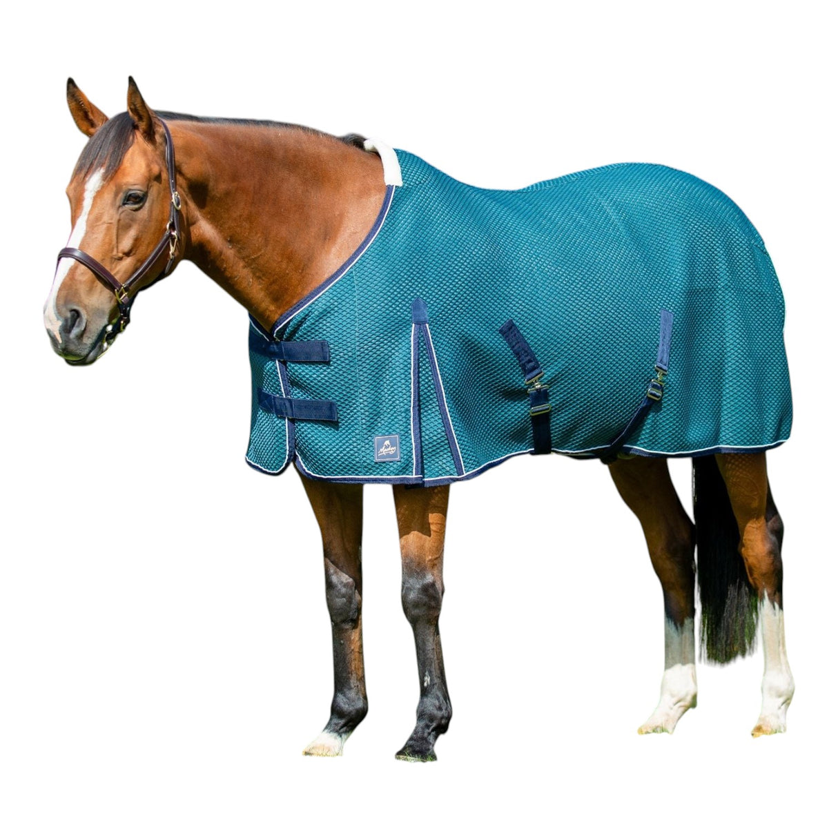 Mackey Shannon Air Cooler