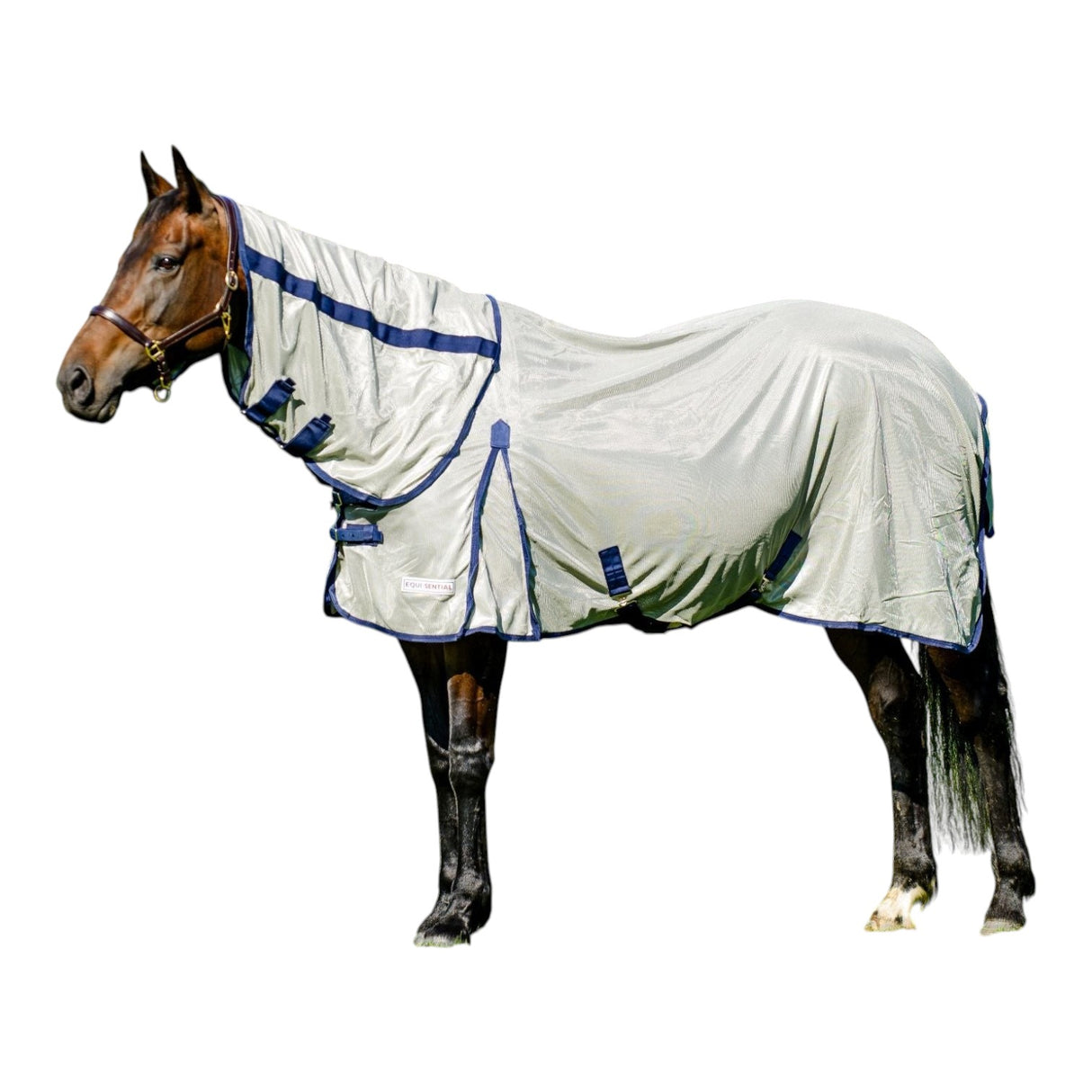 Equisential Fly Rug