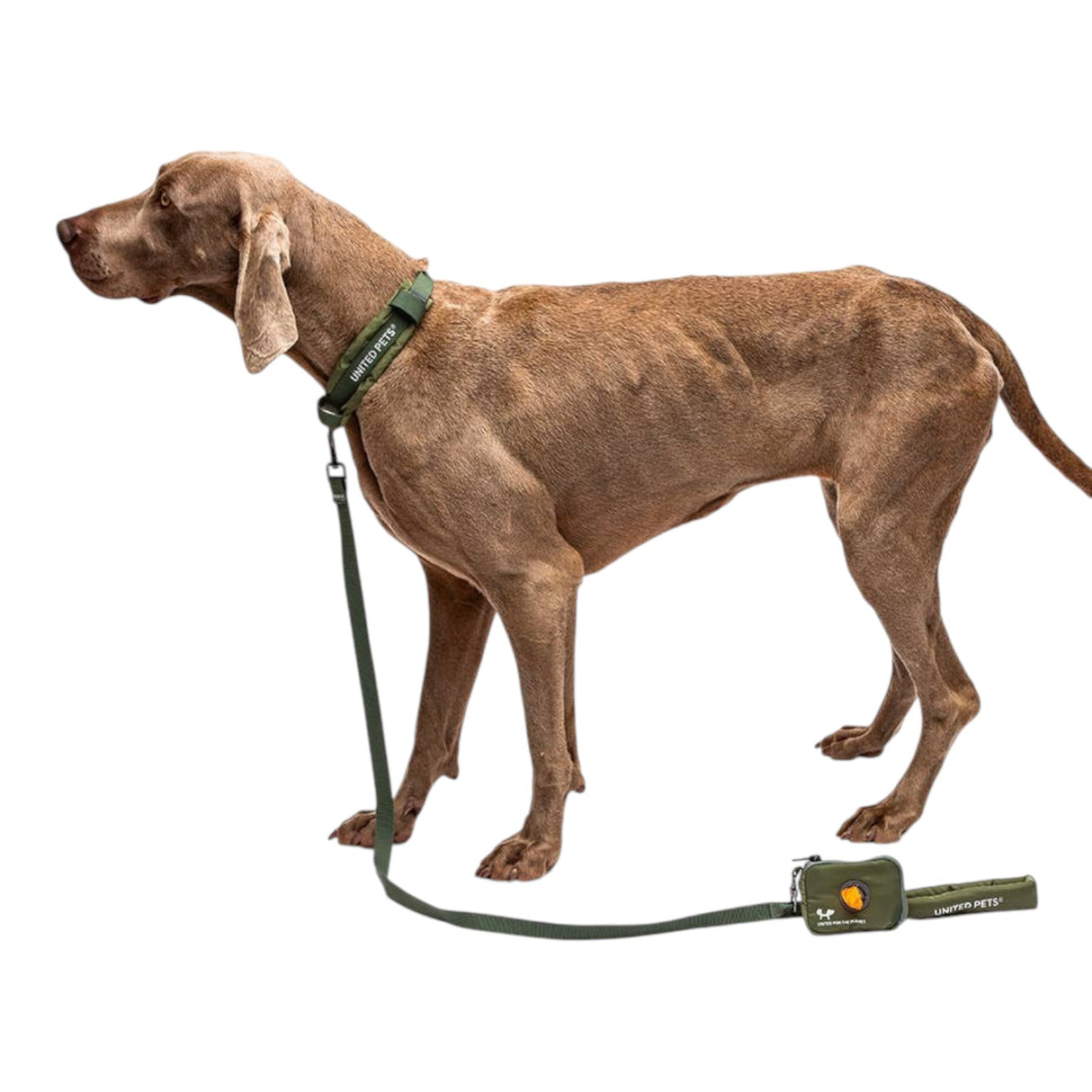 United Pets Padded Soft Leash