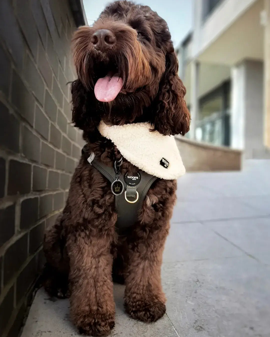 Step-In Harness - Khaki