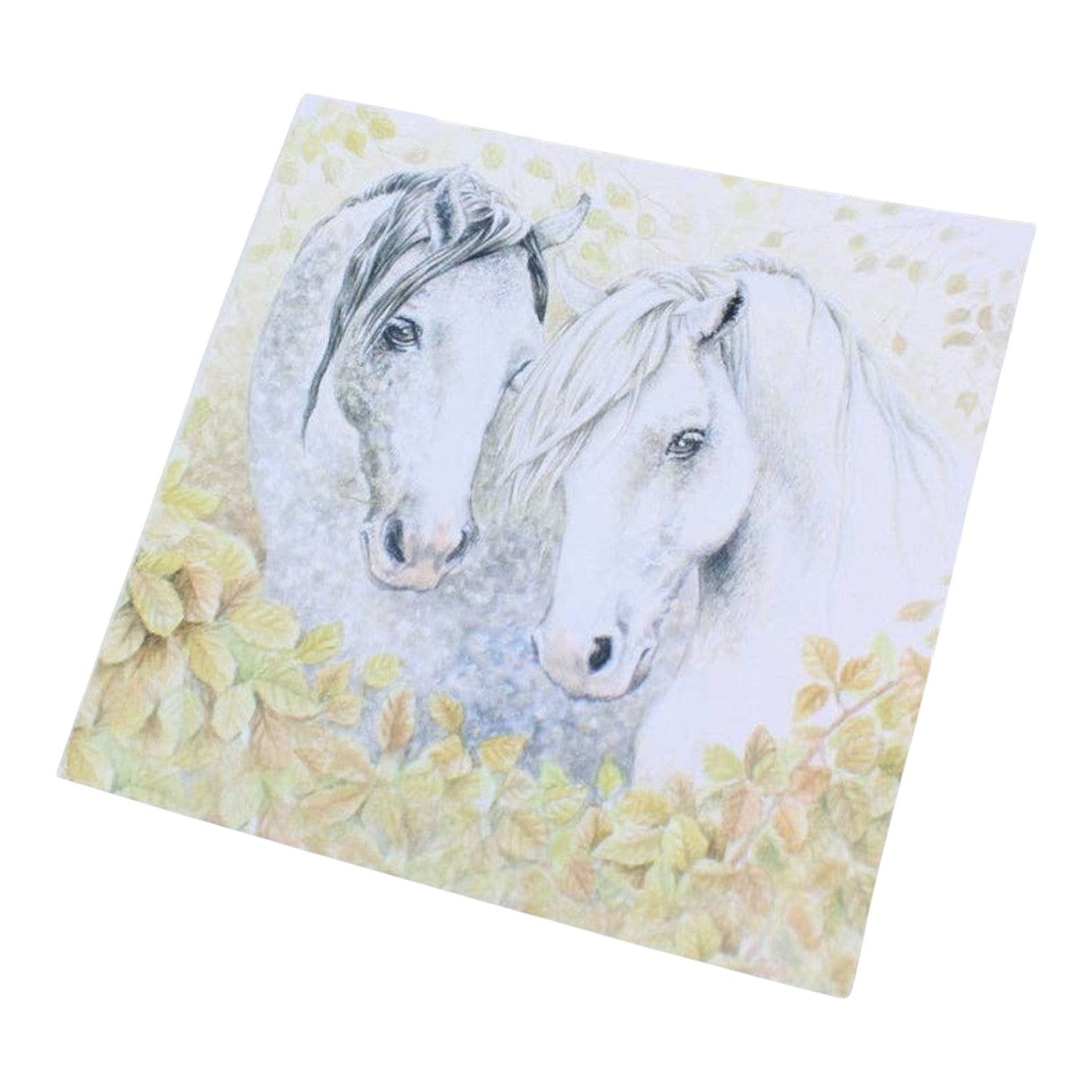Grays 1922 Horses Blank Equestrian Horse Themed Card