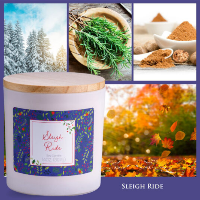 Candle Warmers Sleigh Ride Soy Tumbler Candle