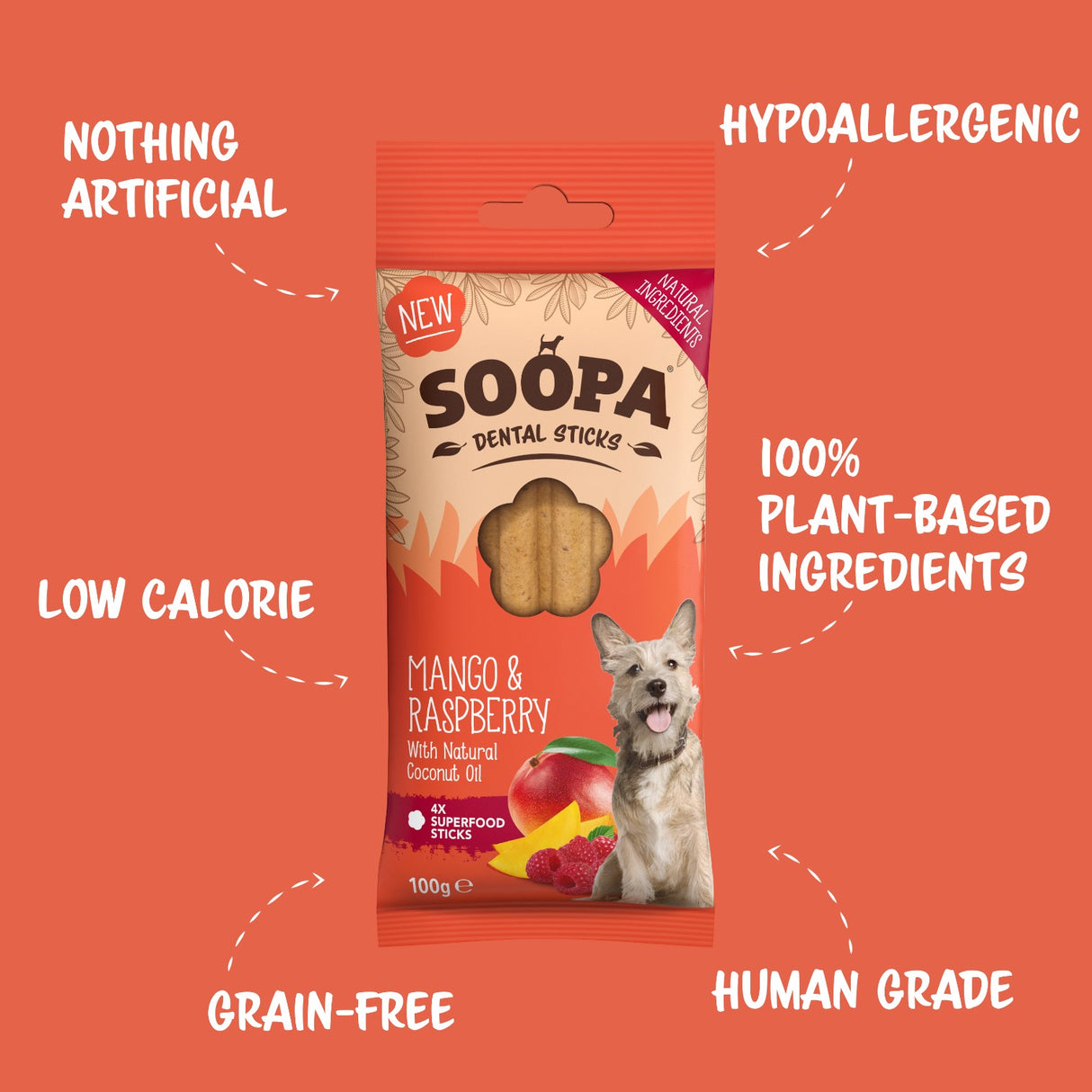 Soopa Mango & Raspberry Dog Dental Sticks