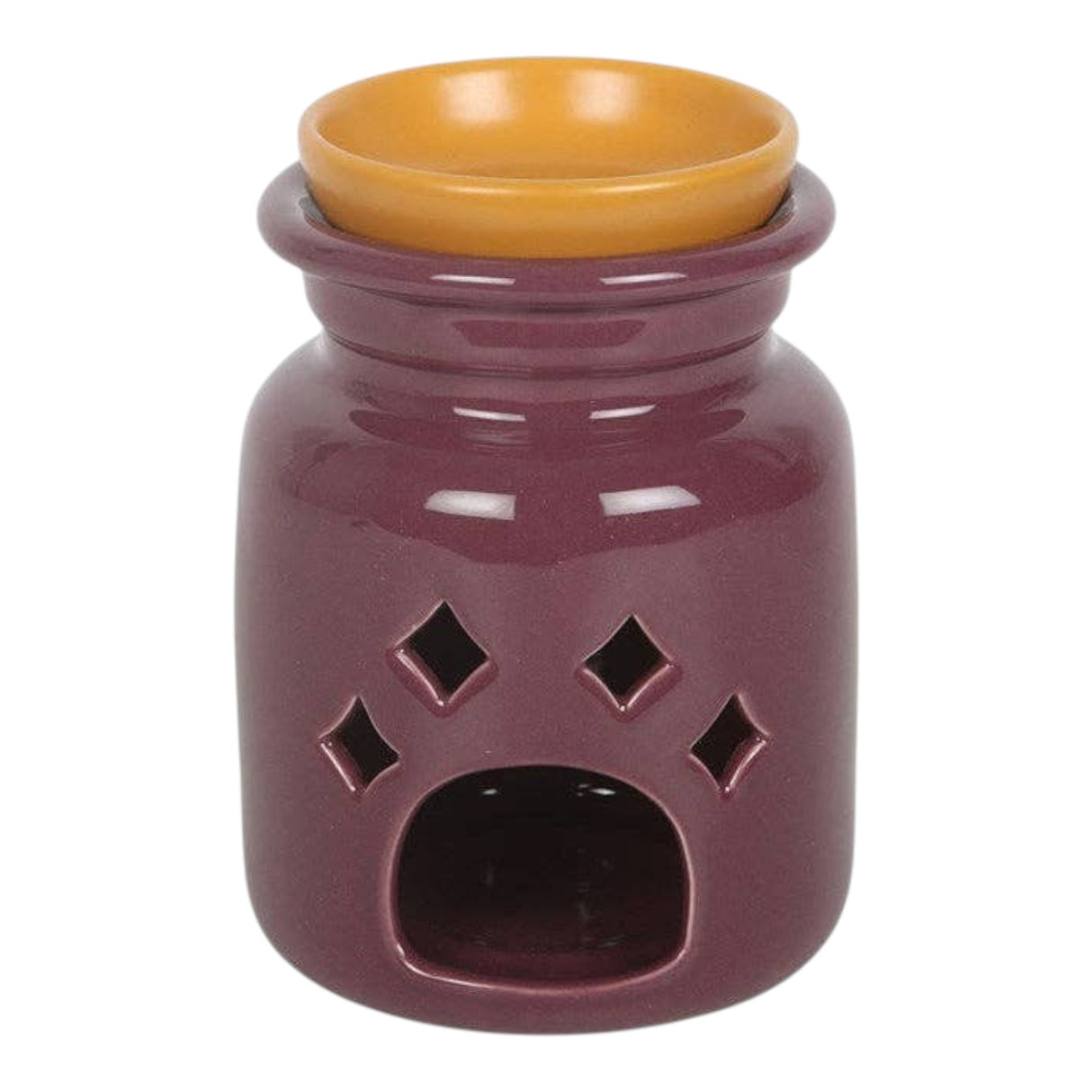 Something Different Mischief and Magic Potion Bottle Oil Burner and Wax Warmer