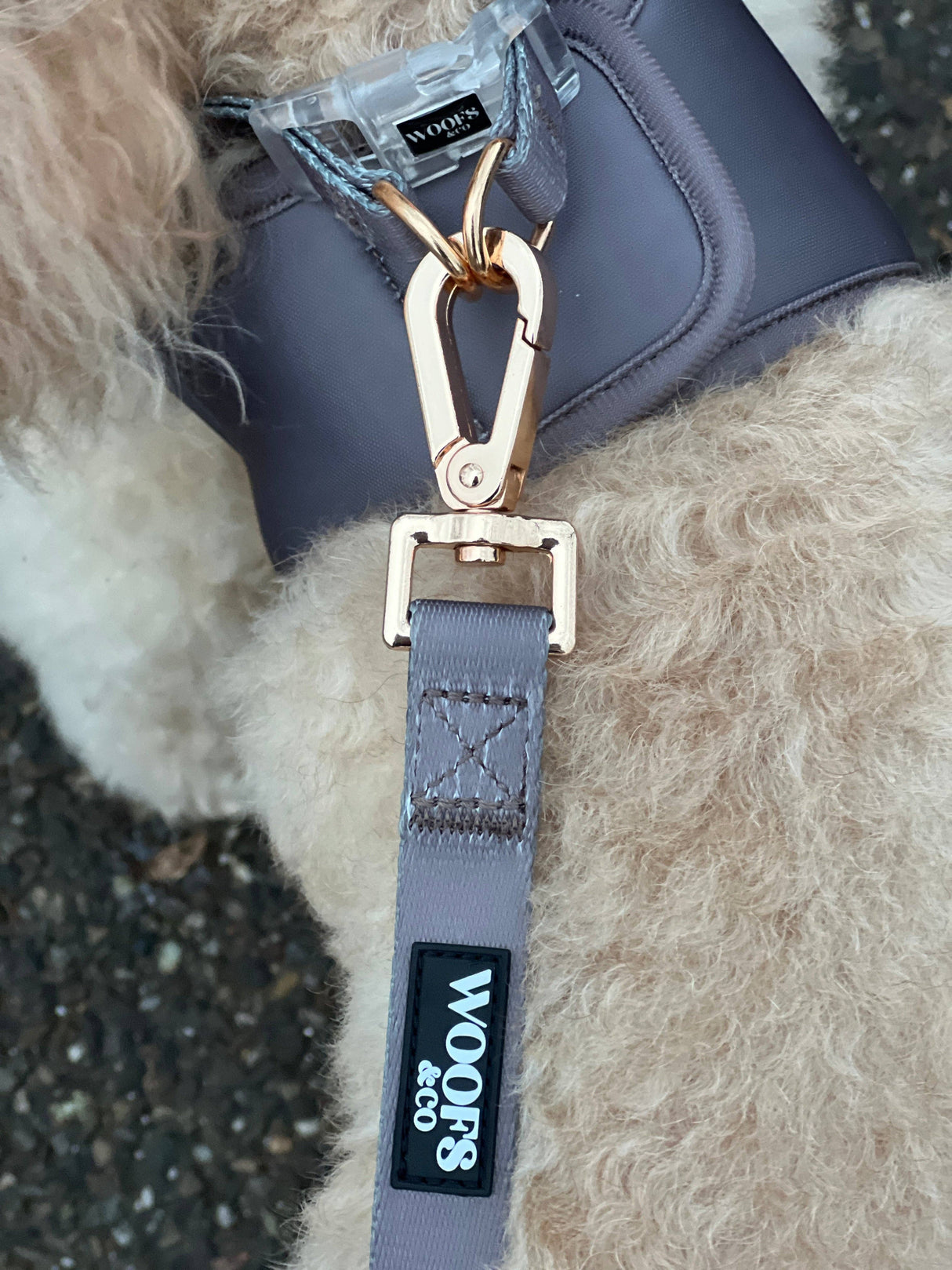 Leash with Charm - Ash