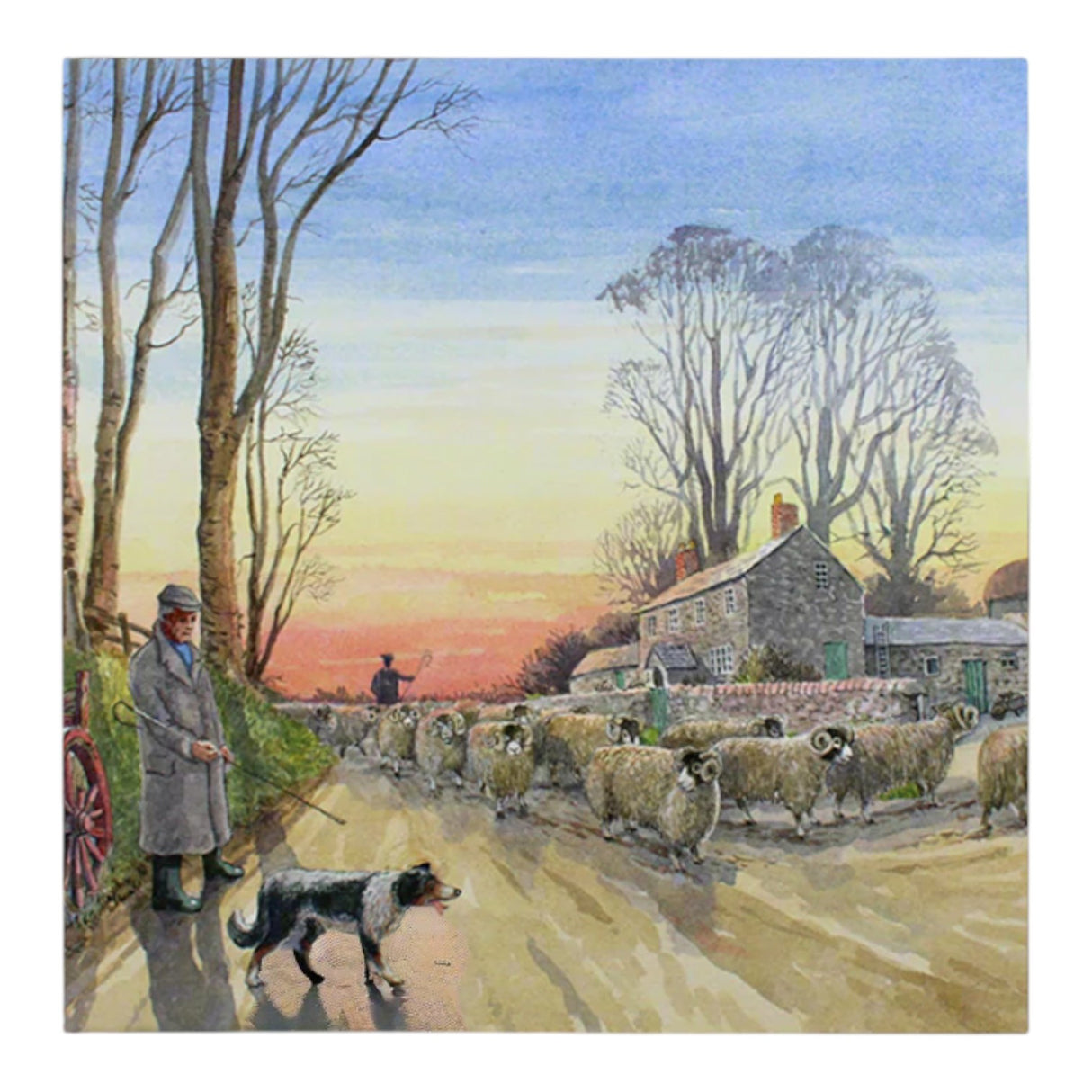 Grays 1922 Red Sky At Night Blank Vintage Theme Sheep Scene Card