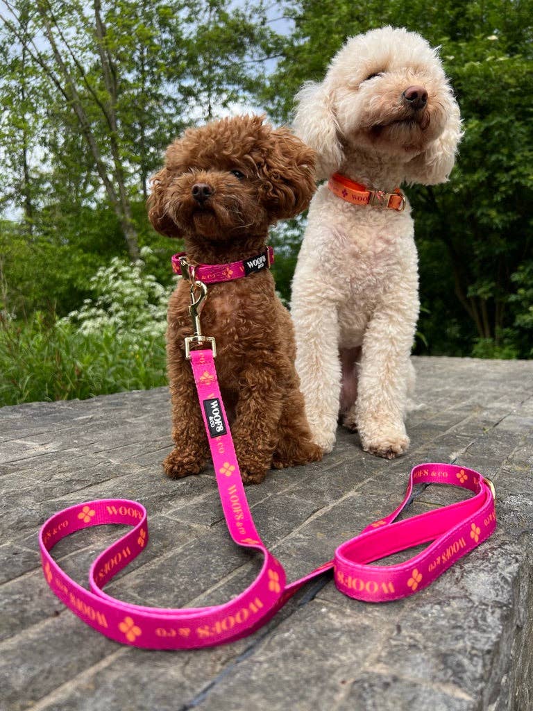 Collar Set - Clover Pink - Gold Edition