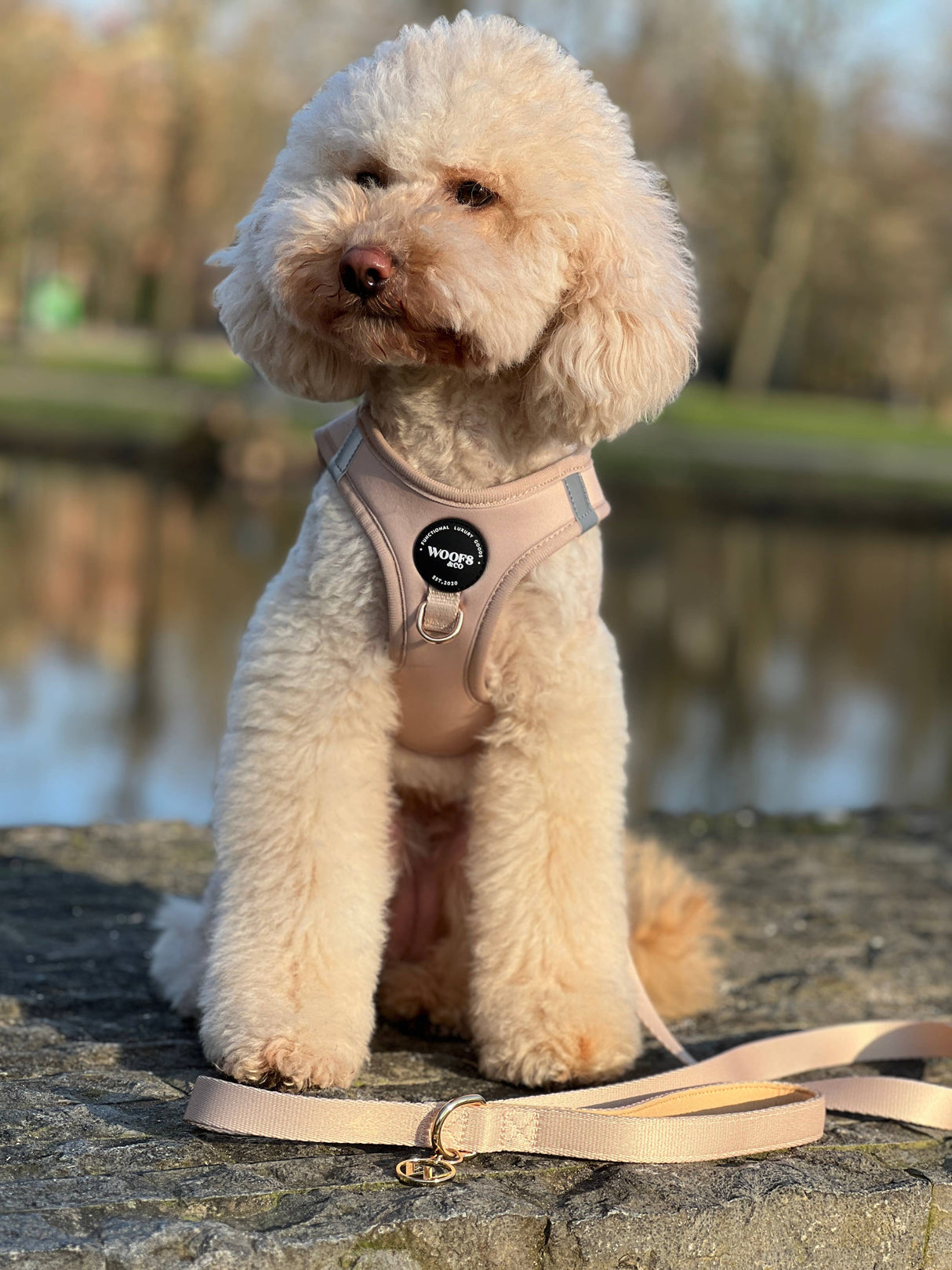 Step-In Harness - Dune - Step-In Hondentuigje - Beige