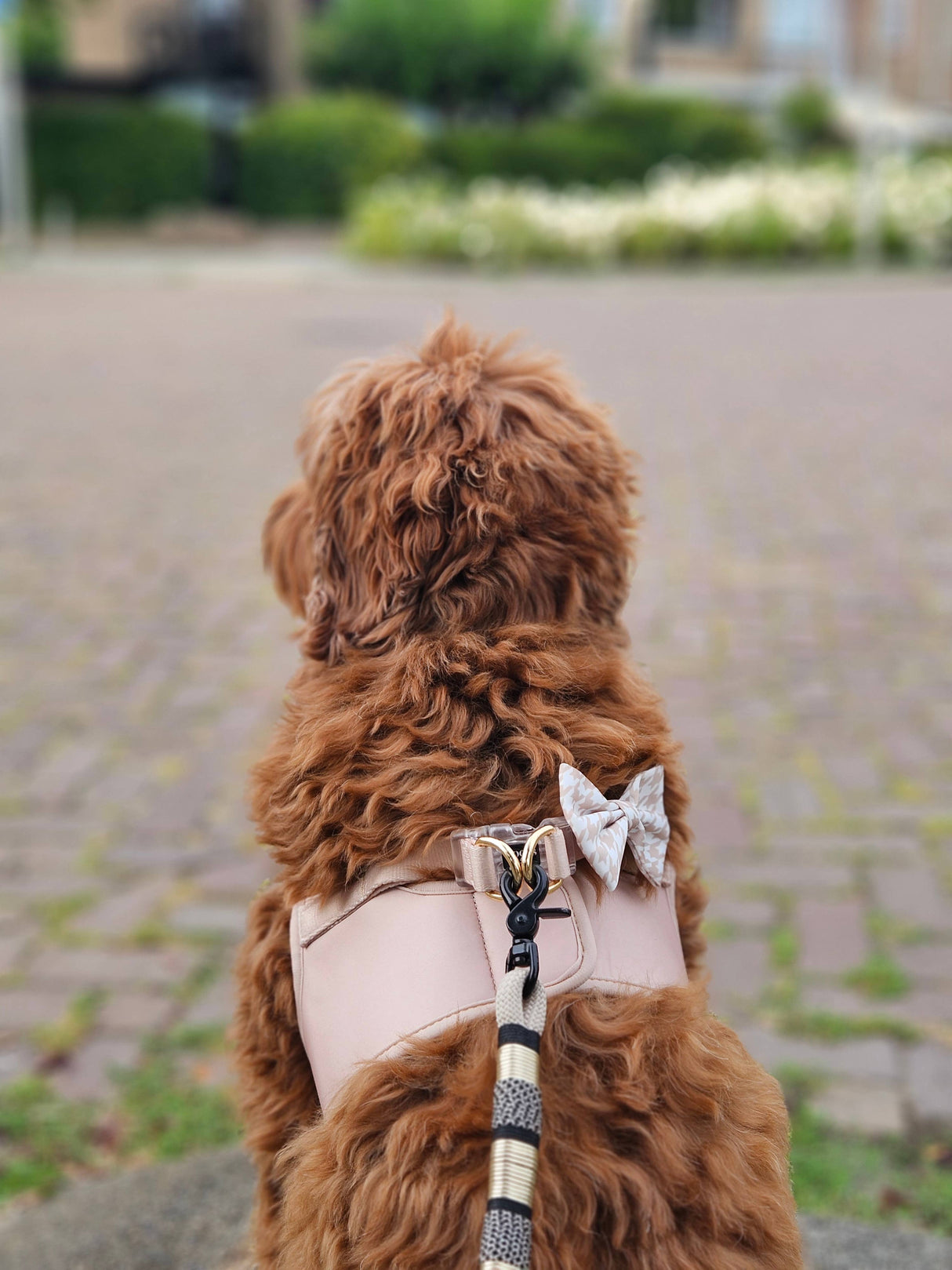 Step-In Harness - Dune - Step-In Hondentuigje - Beige