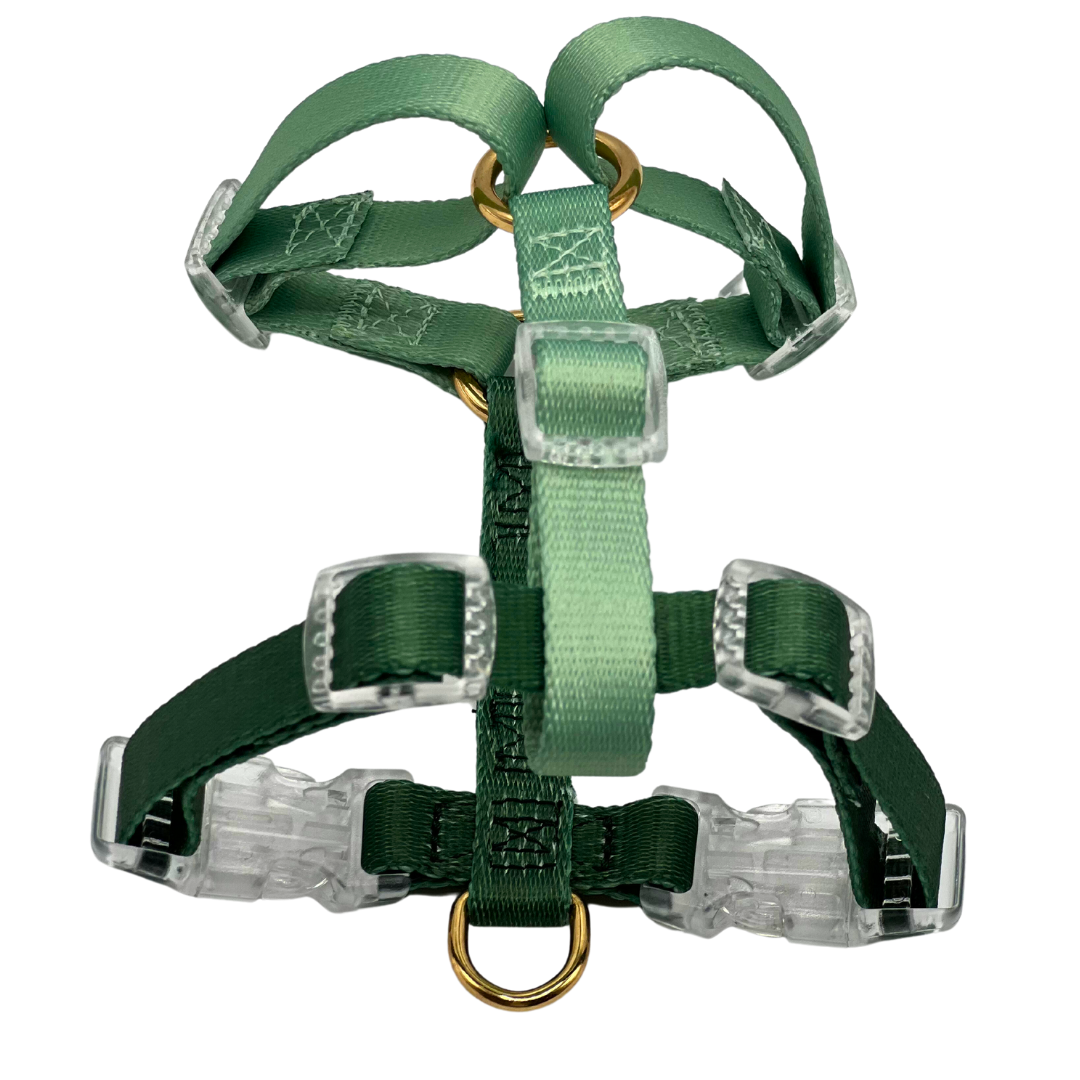 Harness Duo Color - Sage Green