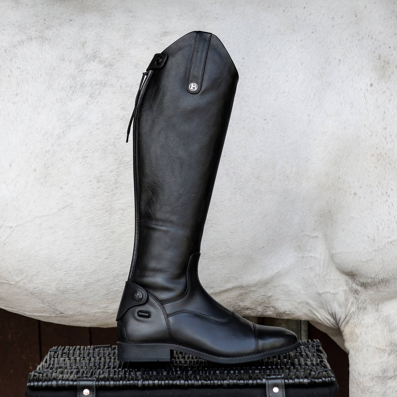 Casperia V2 Long Plain Front Riding Boots