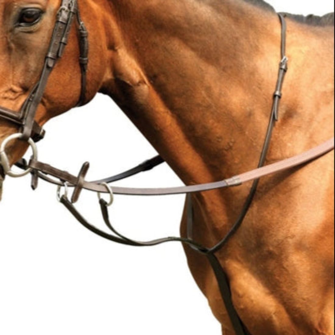 Equisential Running Martingale