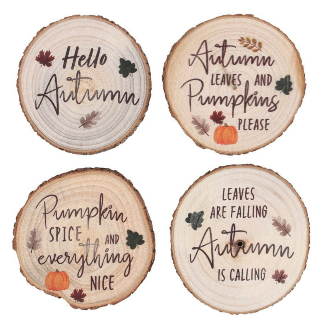 SD Hello Autumn Wood Slice Coaster Set
