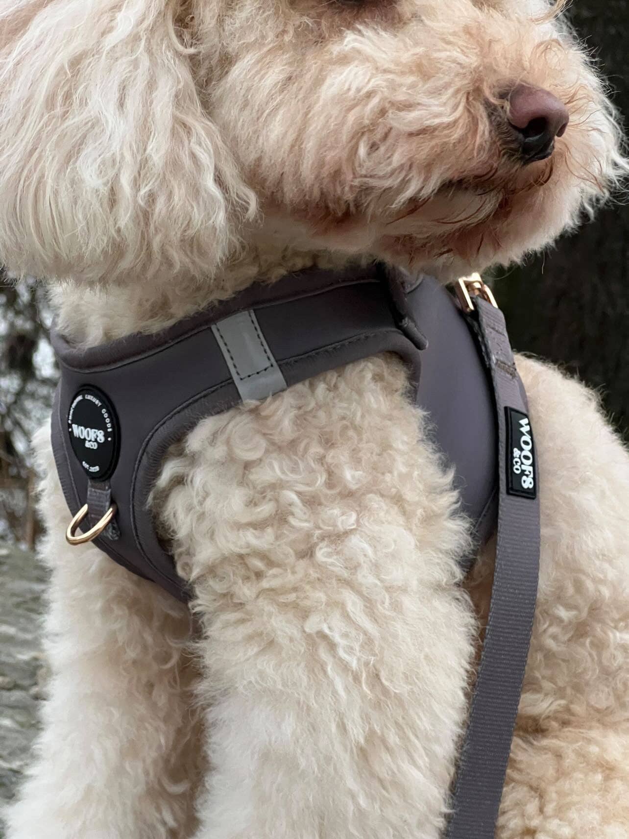 Step-In Harness - Ash