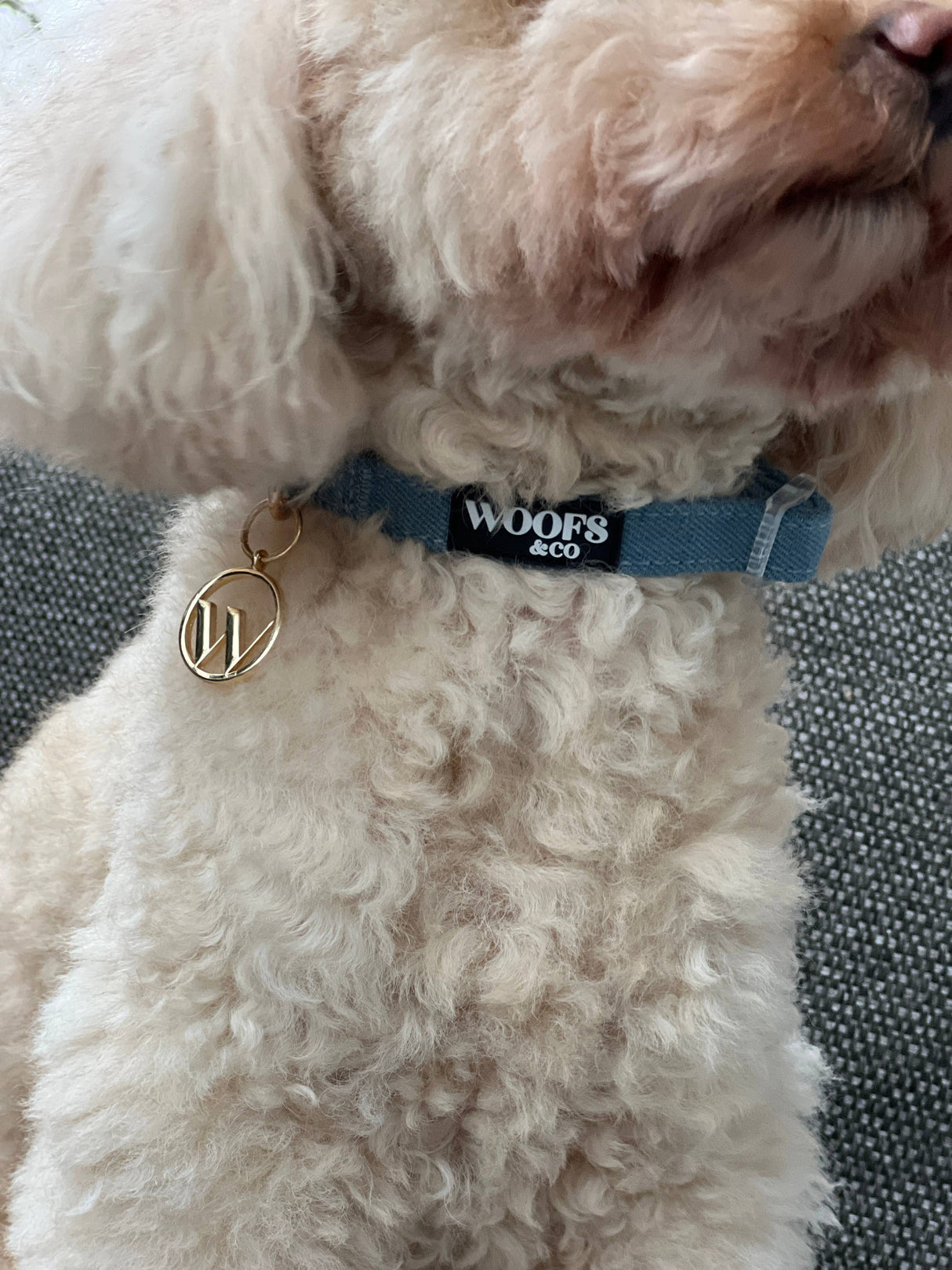 Woofs & Co Collar with Charm - Denim