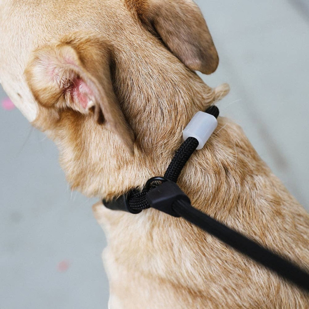 Hundog Gotham Slip-N-Lock Leash
