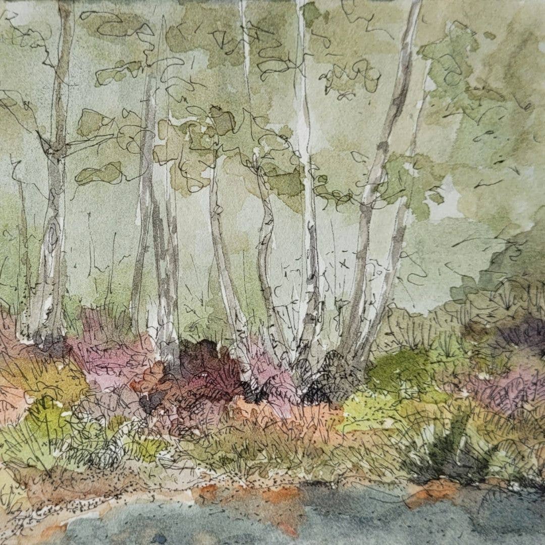 Alison McEvoy Abbeyleix Bog Greeting Card