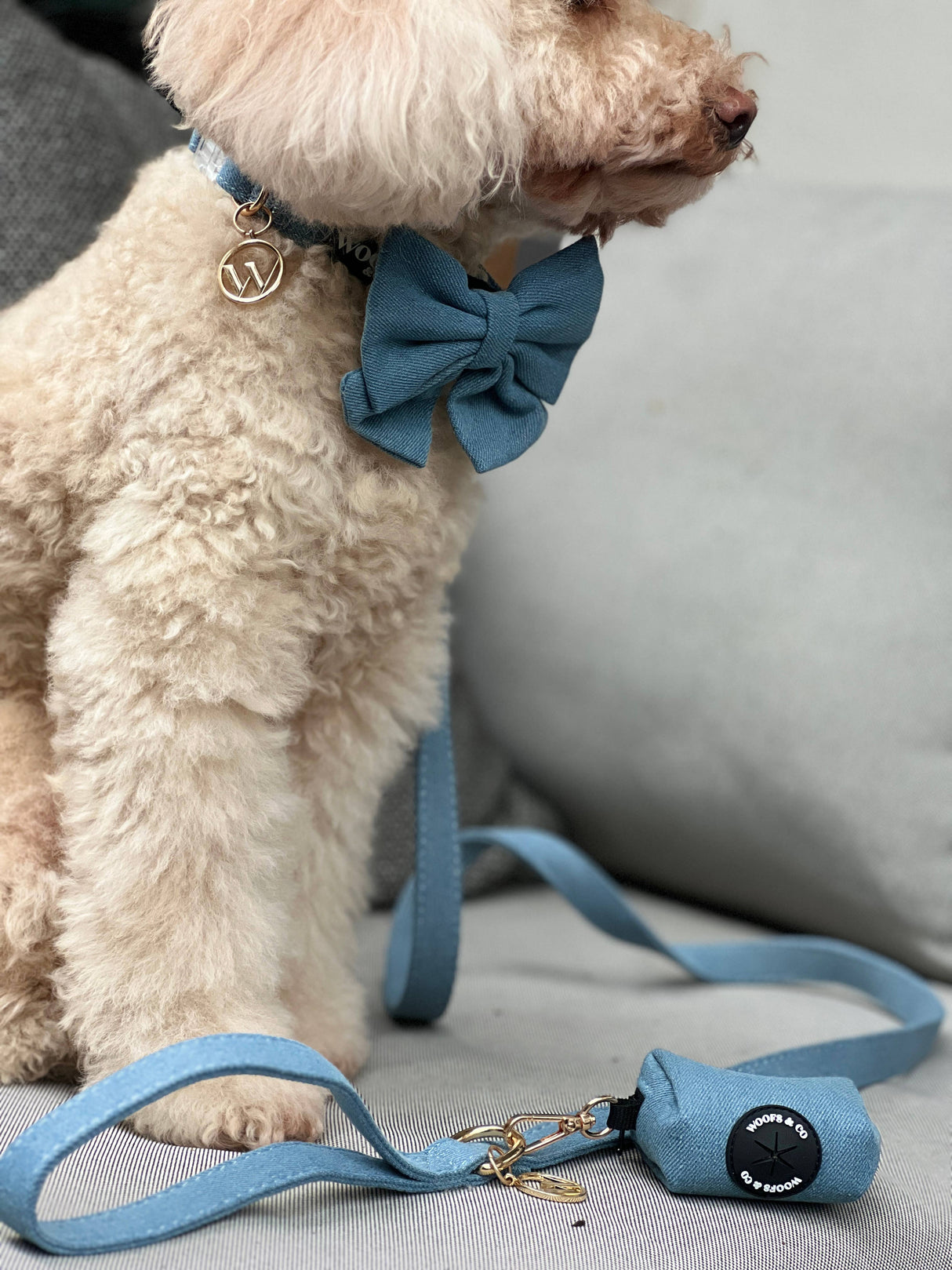 Woofs & Co Collar with Charm - Denim