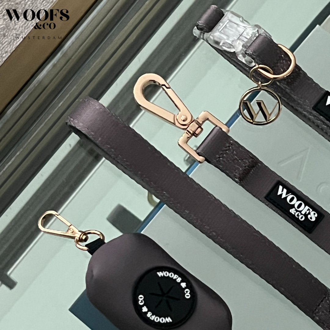 Leash with Charm - Ash