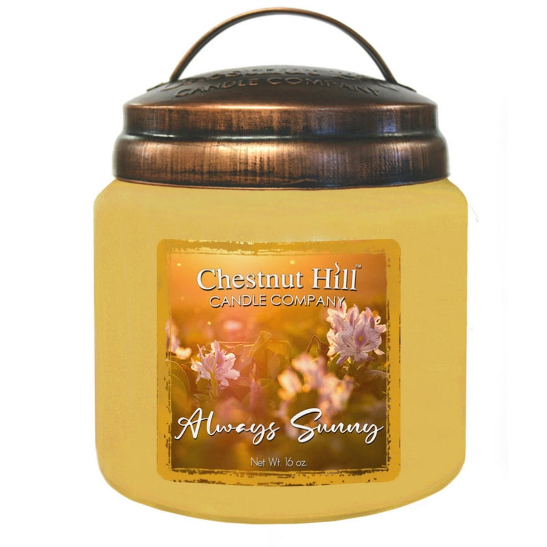 Chestnut Hill Always Sunny Jar Candle