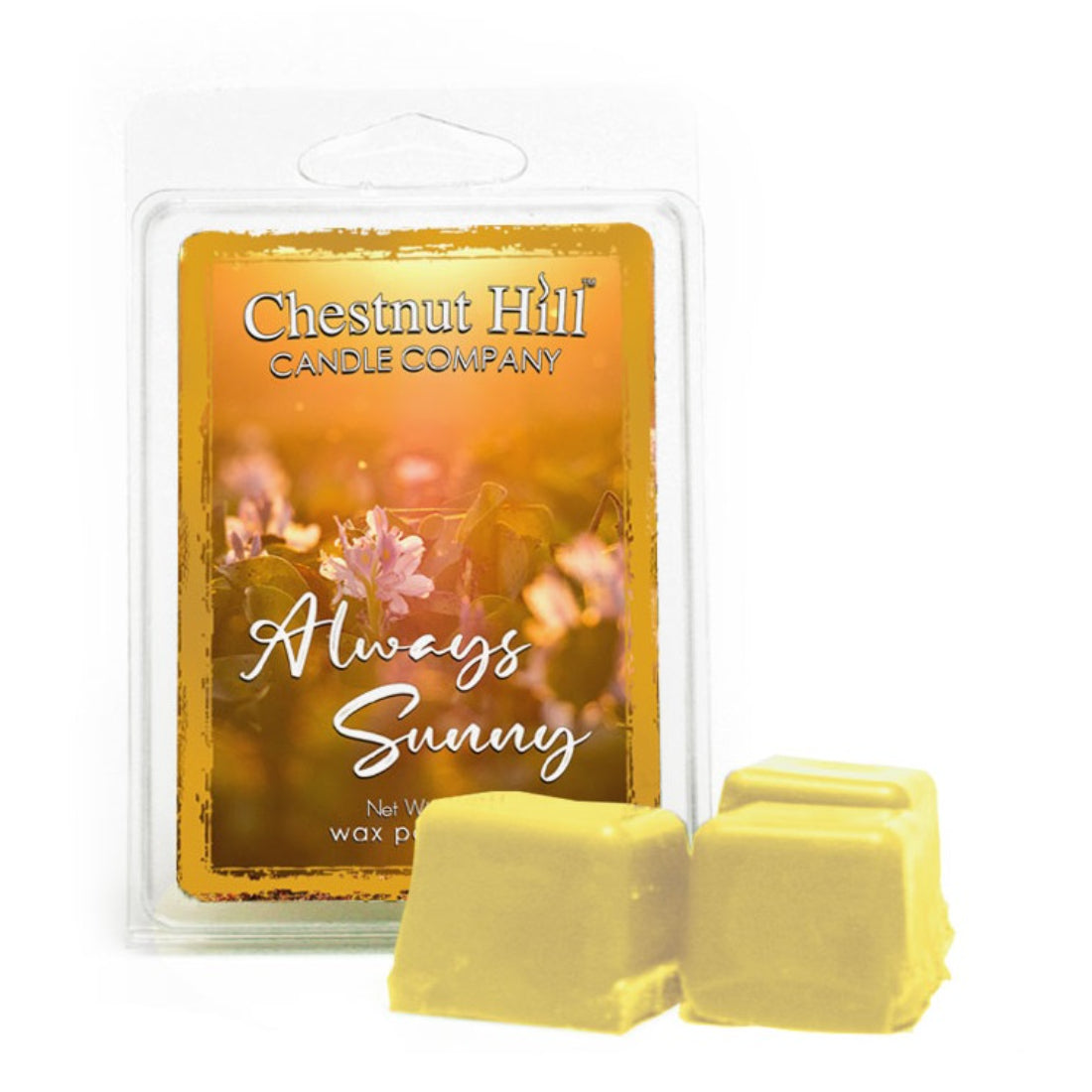 Chestnut Hill Always Sunny Wax Melts