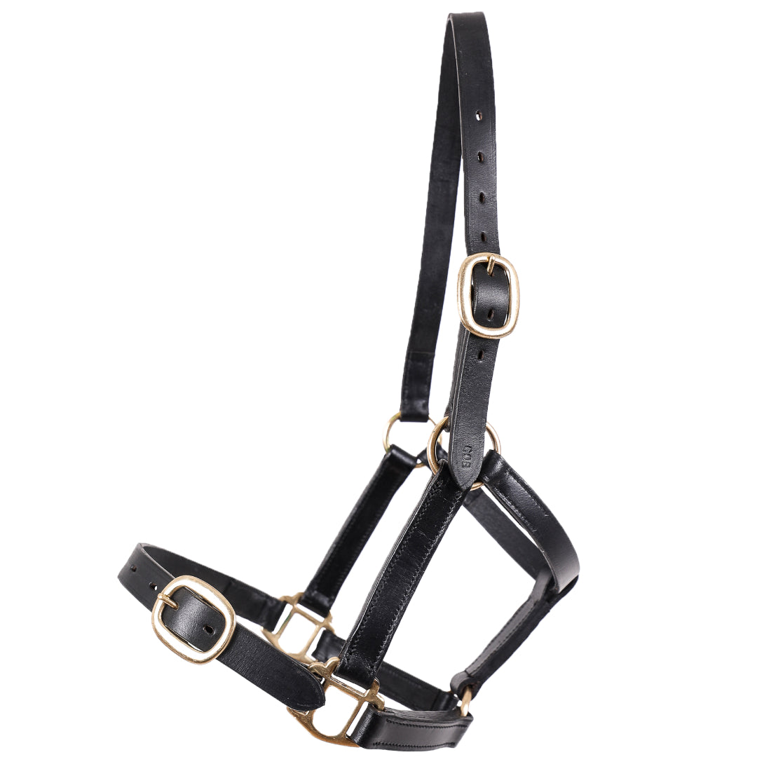 Breeze Up Foal Headcollar