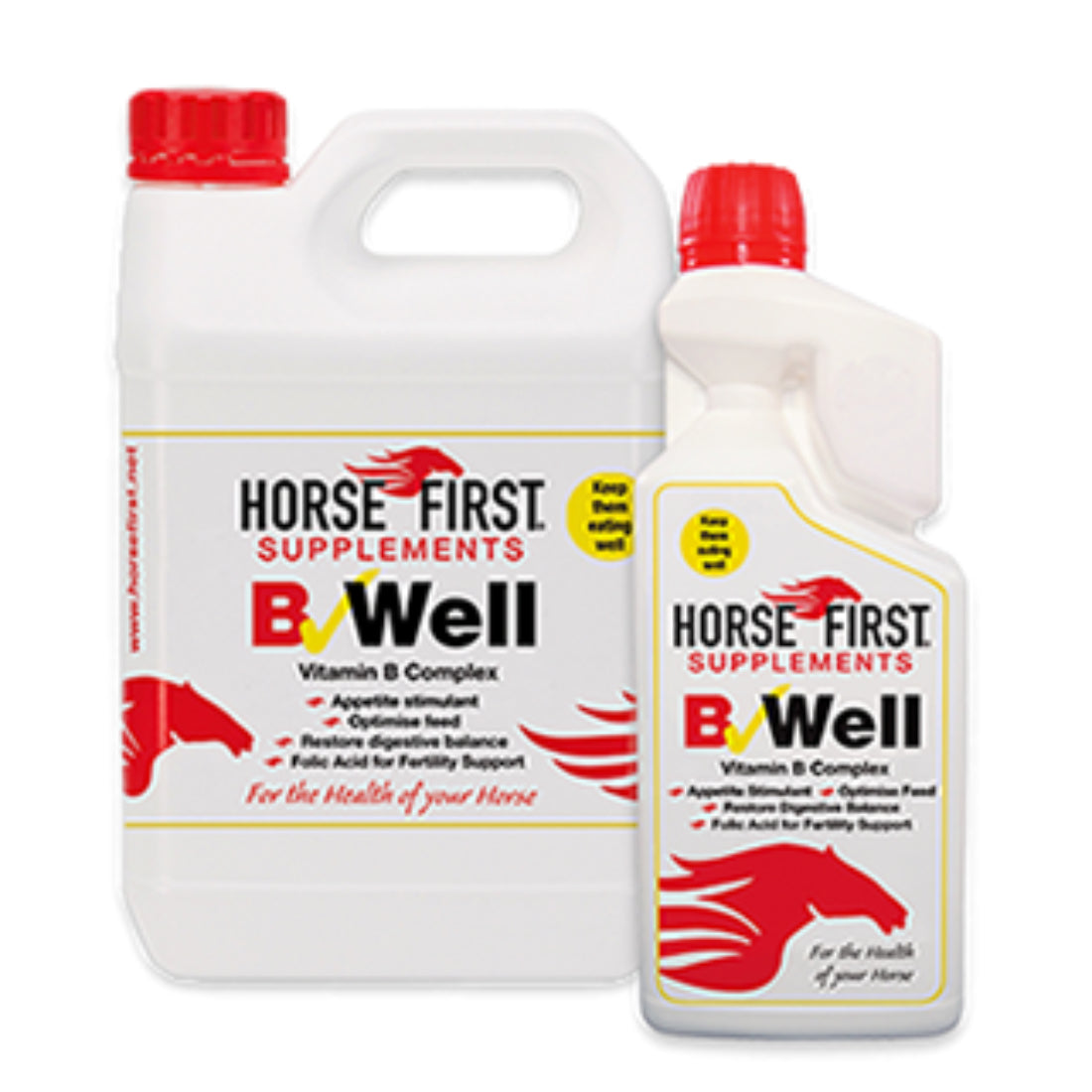 Horse First B Well 1LT