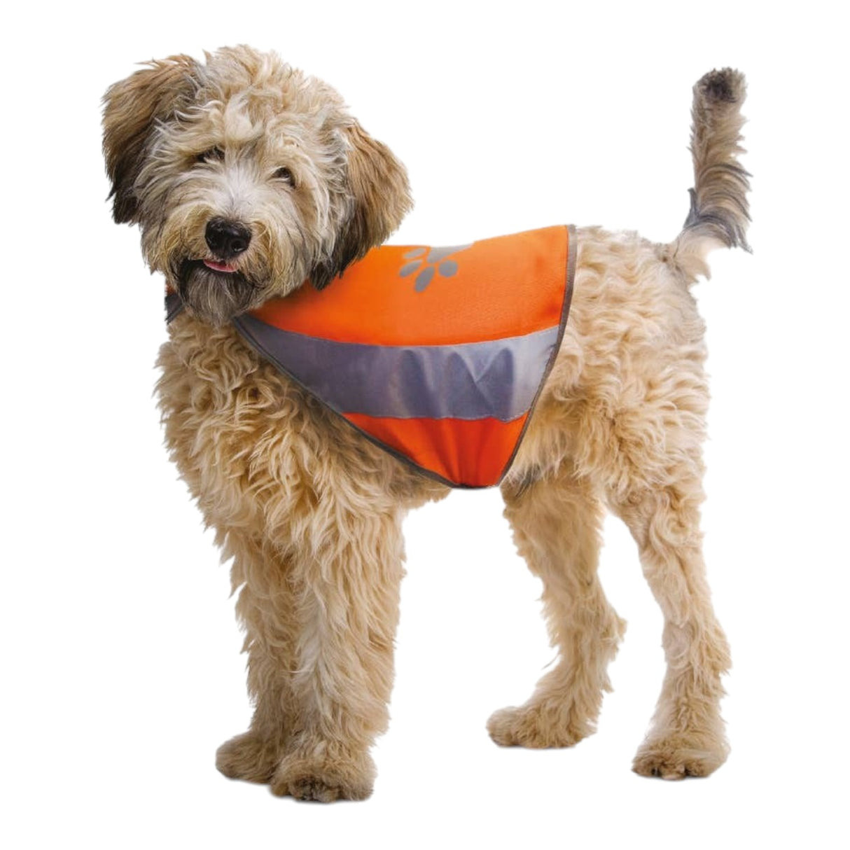 Croci Reflecting Jacket for Dogs