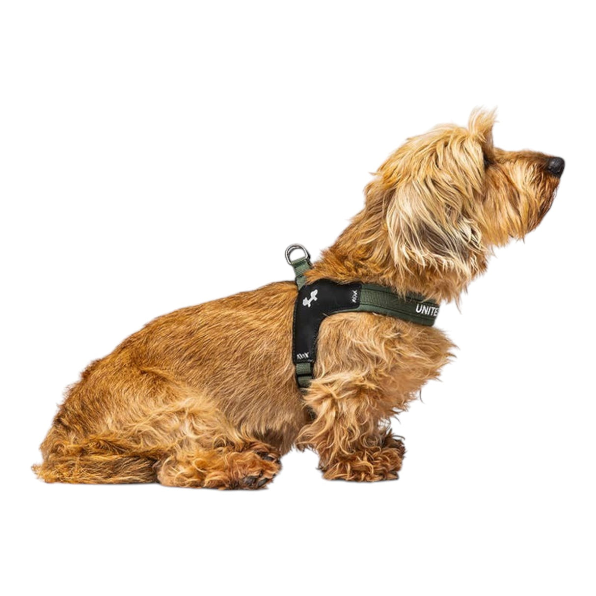 United Pets Fast Fit Harness