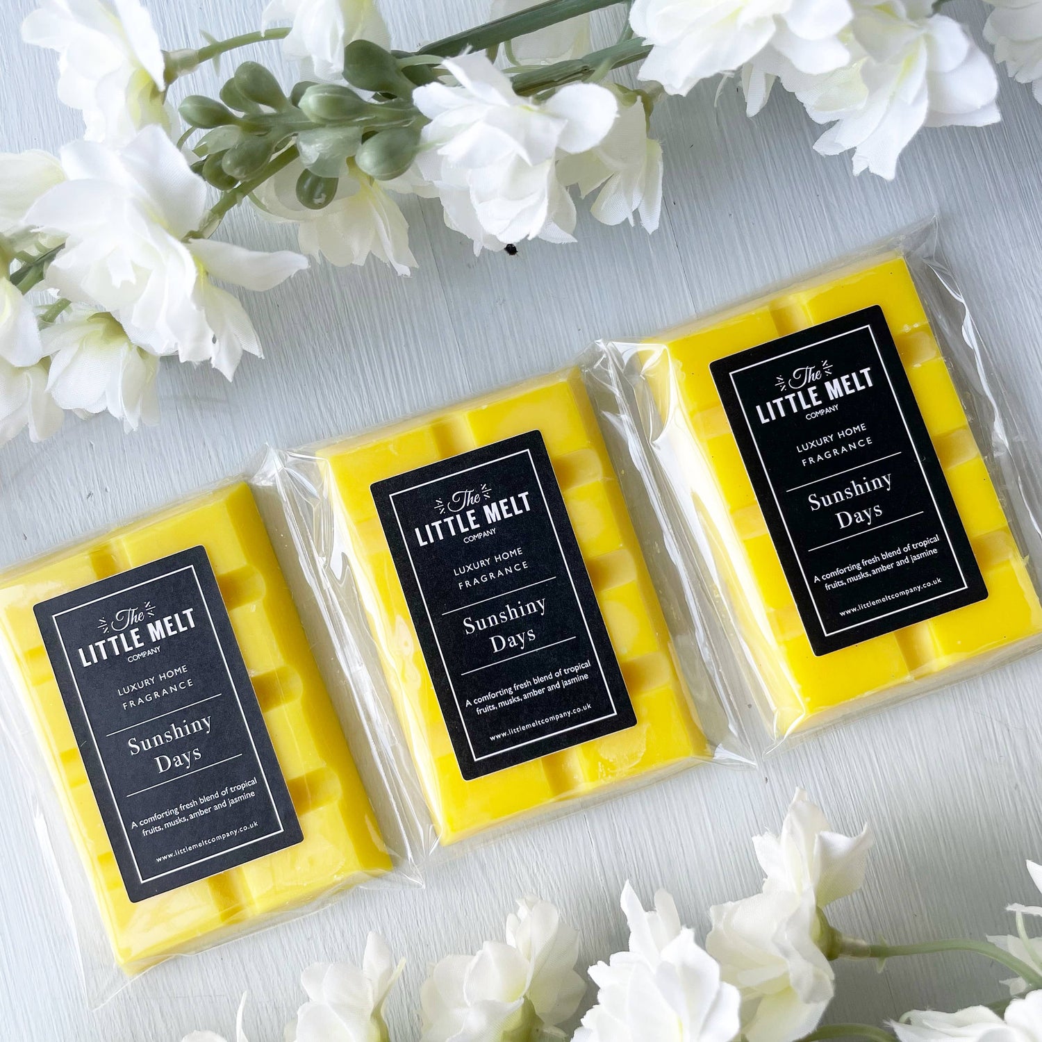 TLMC Mini Wax Melt Bar - Fresh/Laundry Range