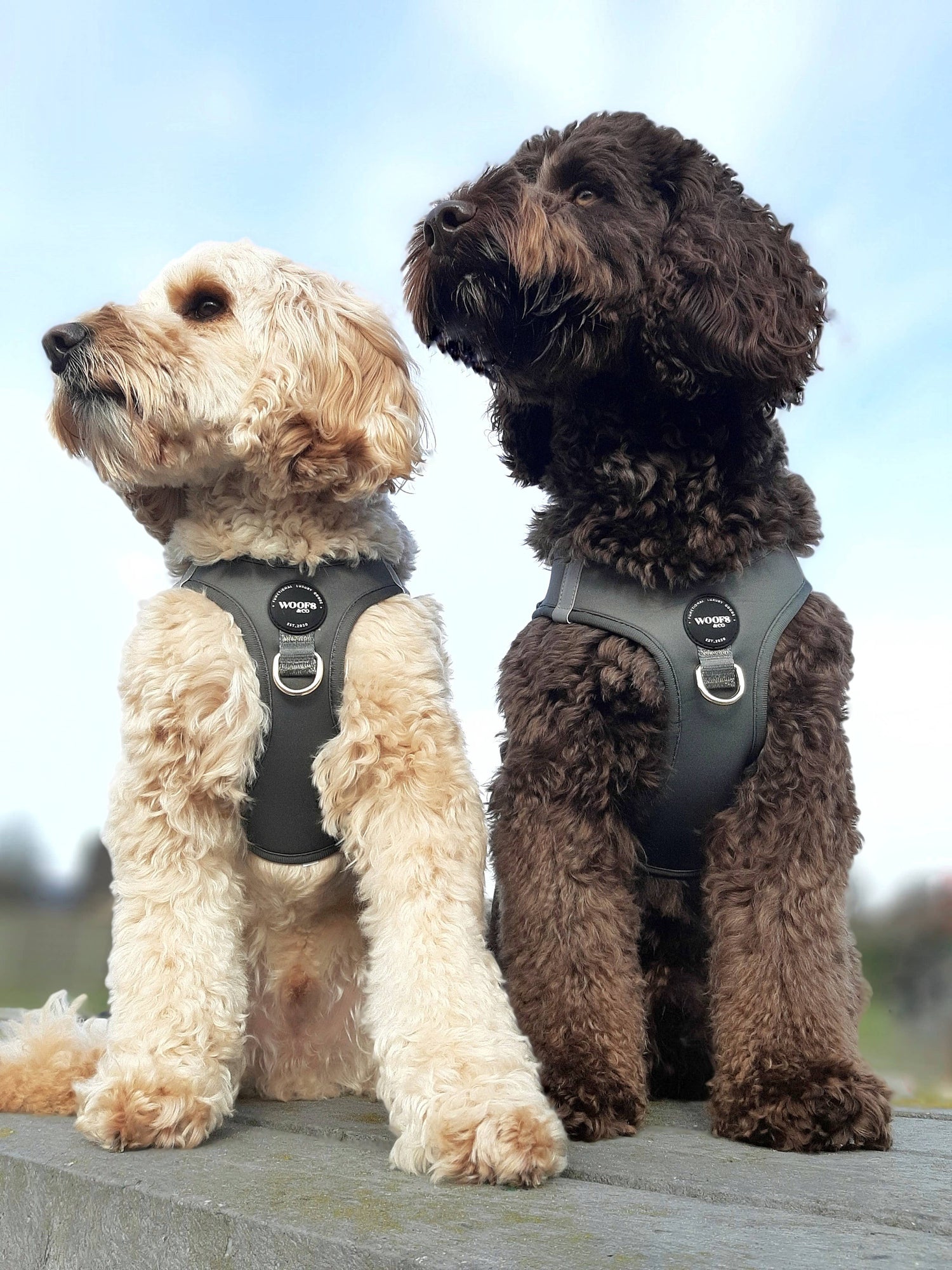 Step-In Harness - Khaki