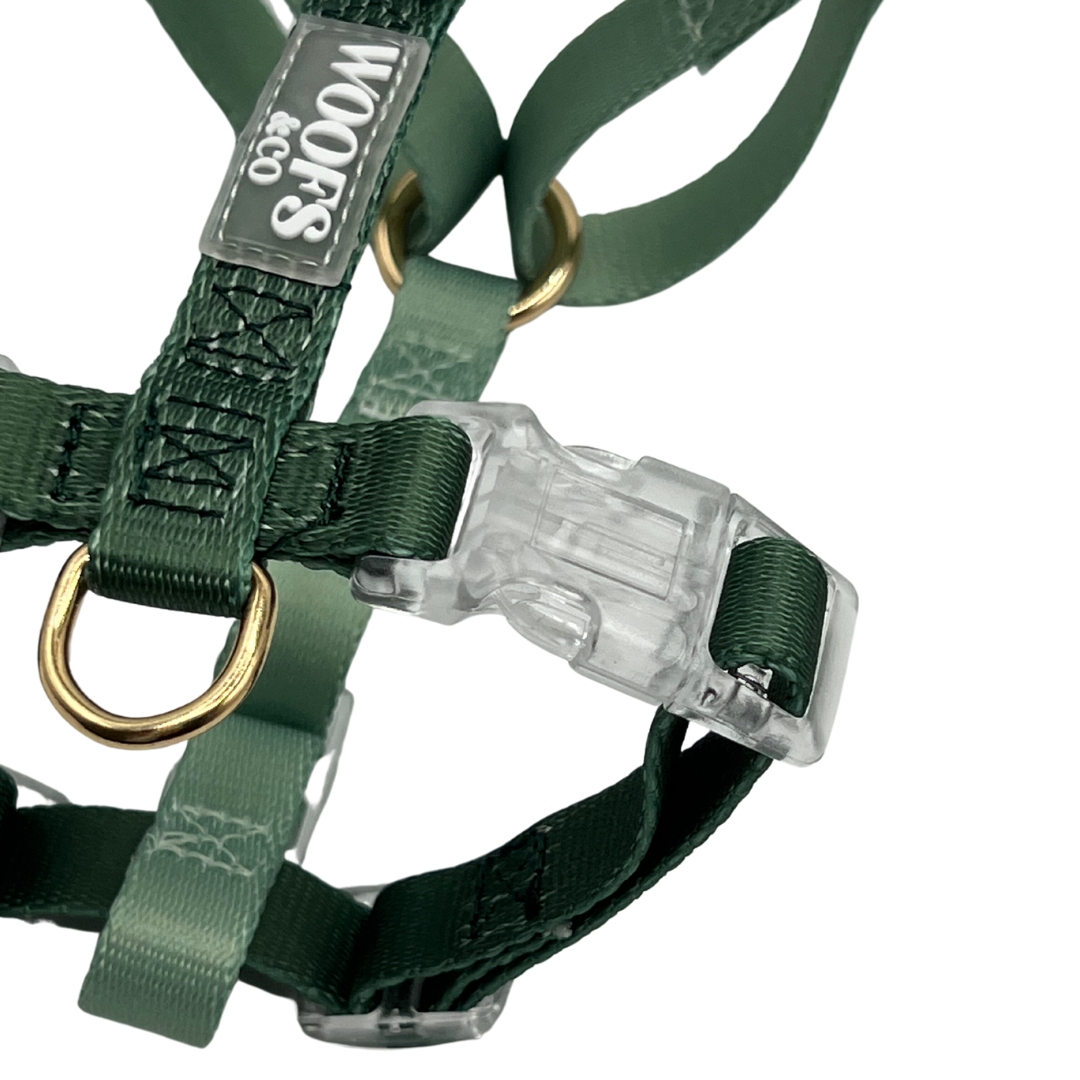 Harness Duo Color - Sage Green