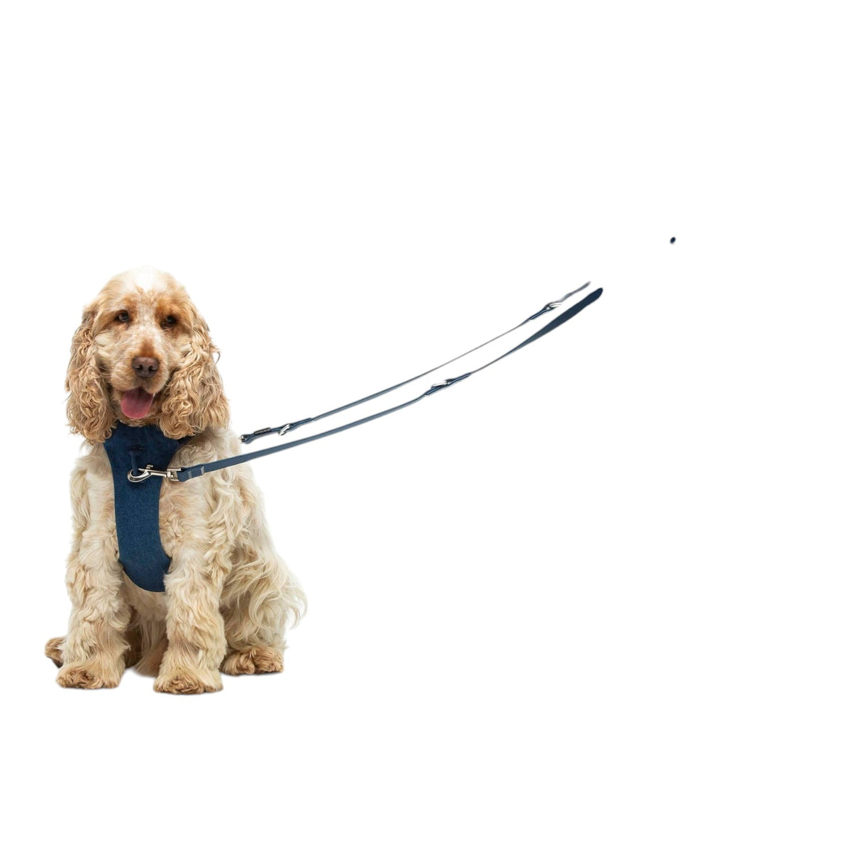United Pets Gumi Multifunctional Training Leash