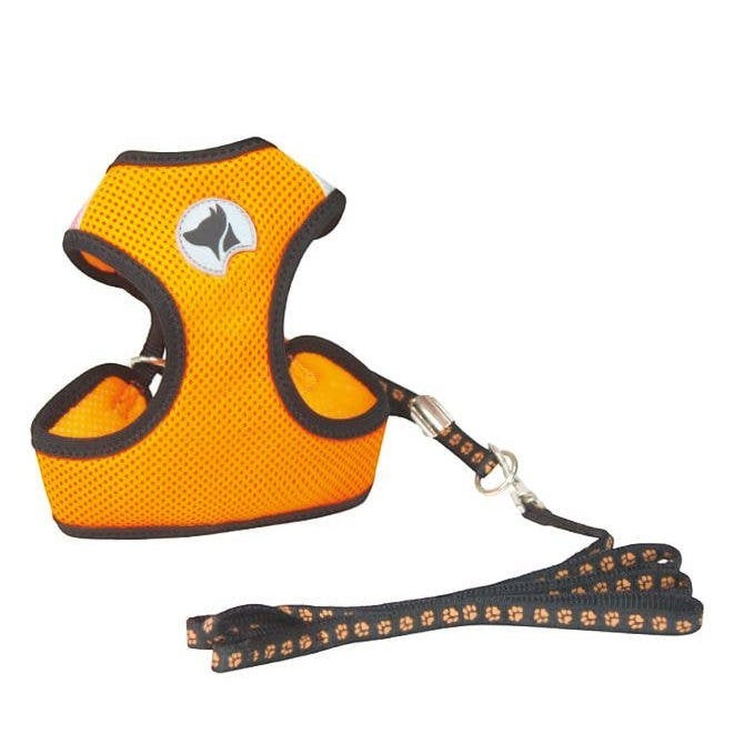 Croci Dog Leash and Harness - Hiking