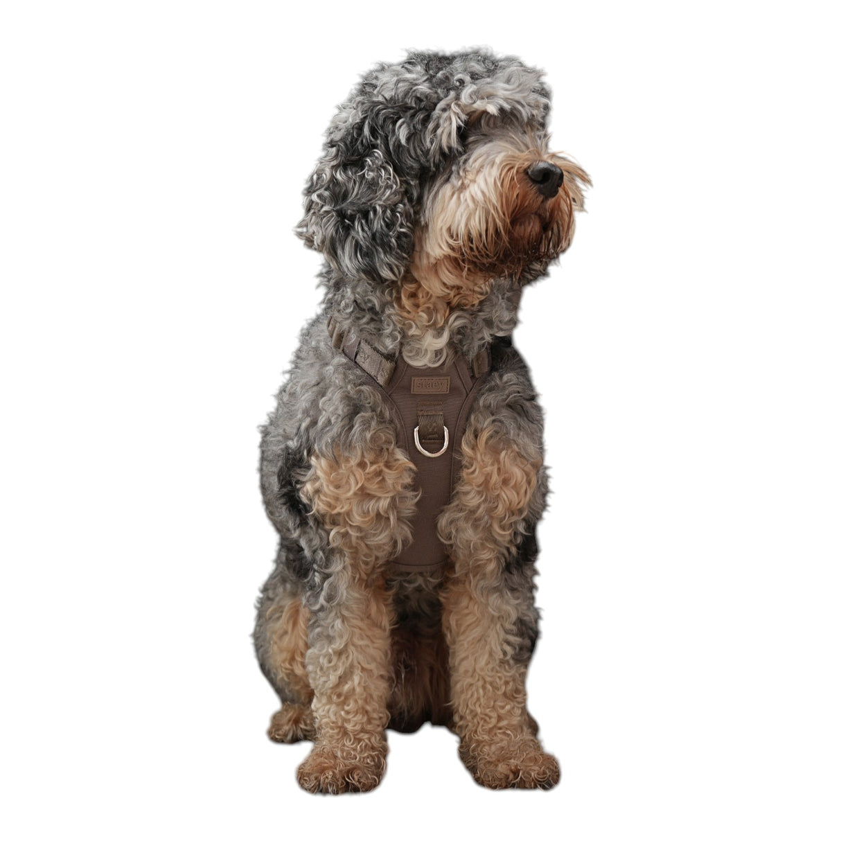 Staey Elma Active Dog Harness Sand