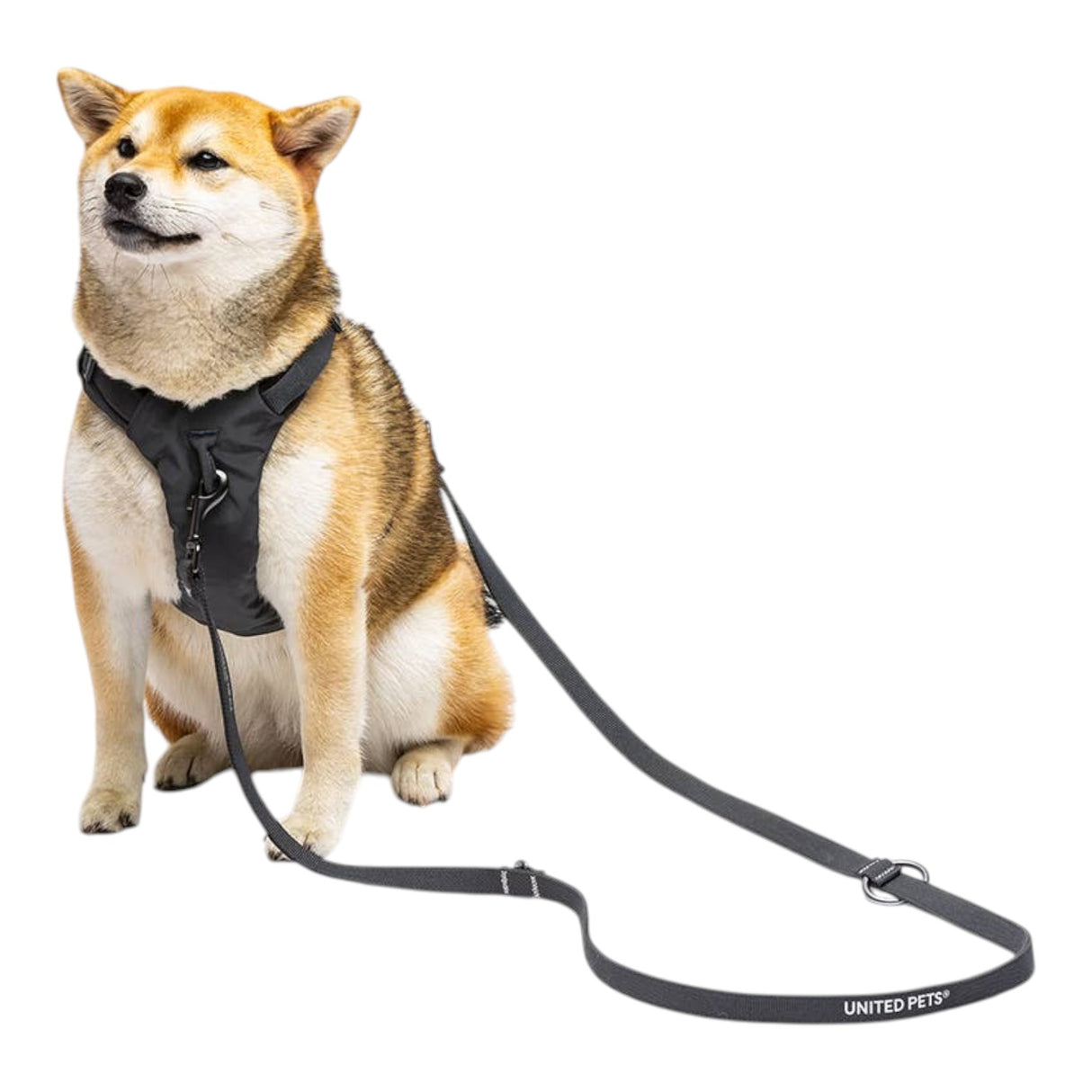 United Pets Durable Nylon Training Leash