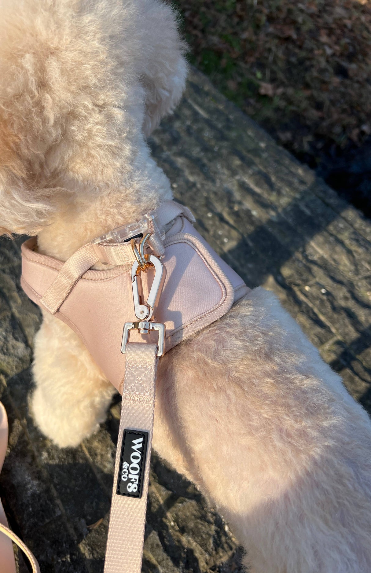 Step-In Harness - Dune - Step-In Hondentuigje - Beige