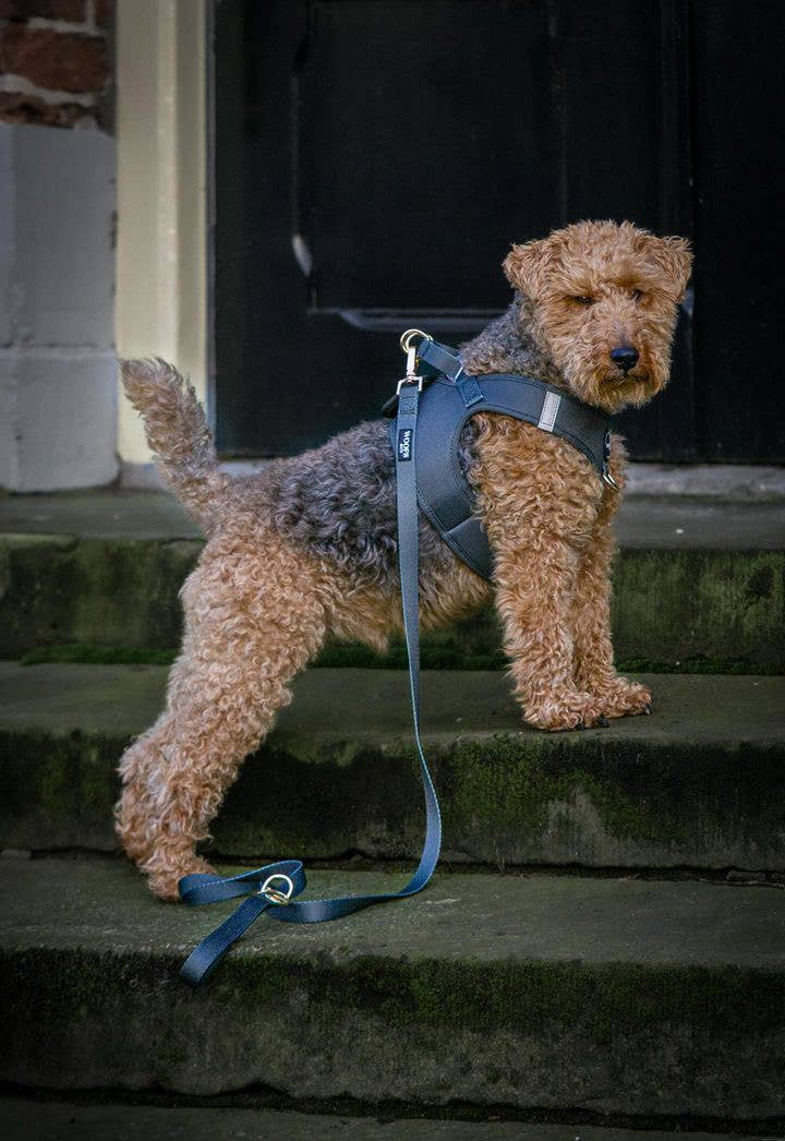 Step-In Harness - Khaki