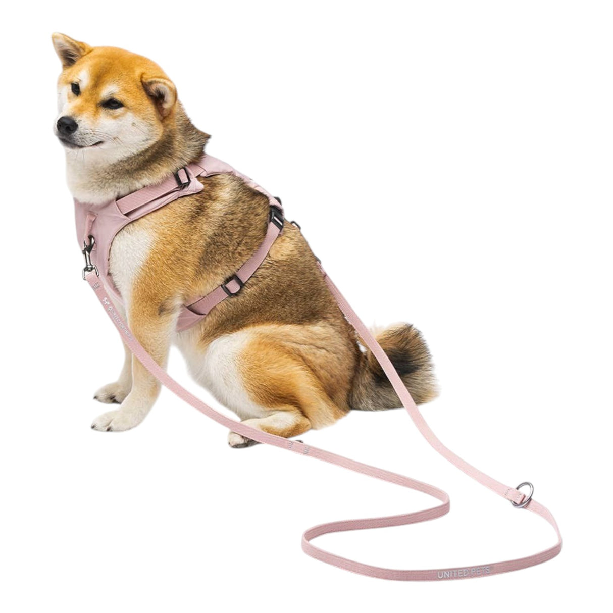 United Pets Durable Nylon Training Leash