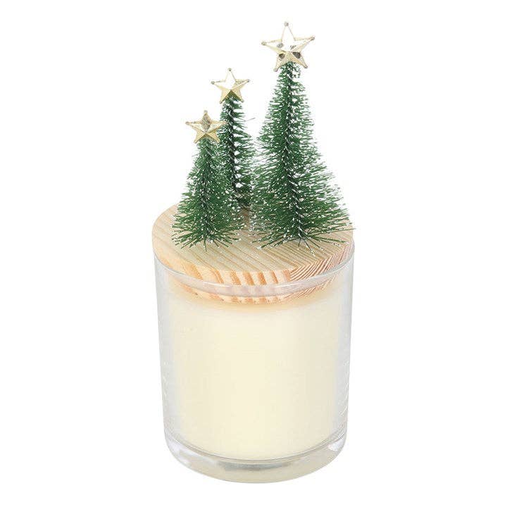Something Different Cinnamon & Spice Christmas Candle