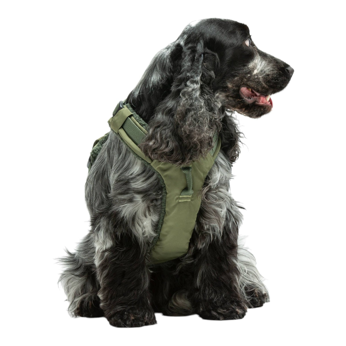 United Pets Soft Padded Dog Harness