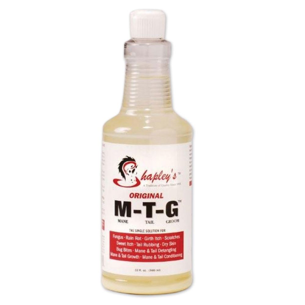 Shapleys MTG Original