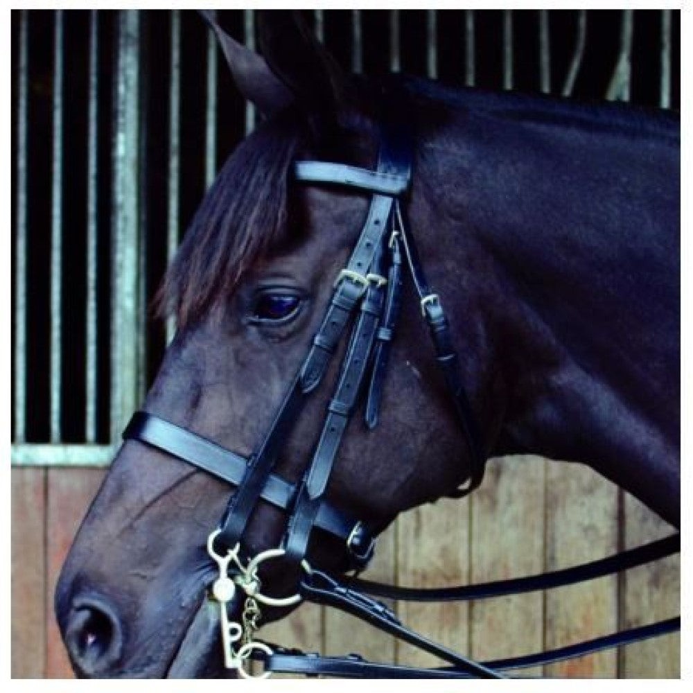 Celtic Double Bridle