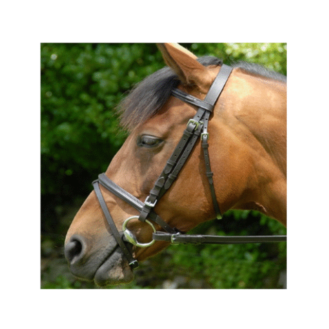 Celtic Classic Bridle - Connemara Horse & Country