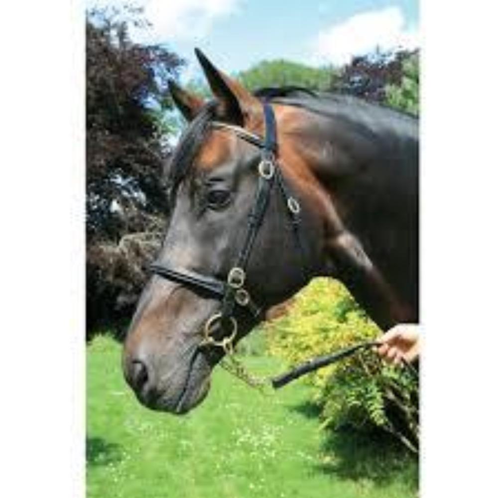 Mackey In Hand Bridle - Brass