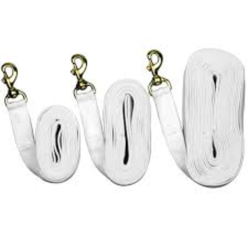 EquiSential White Leads