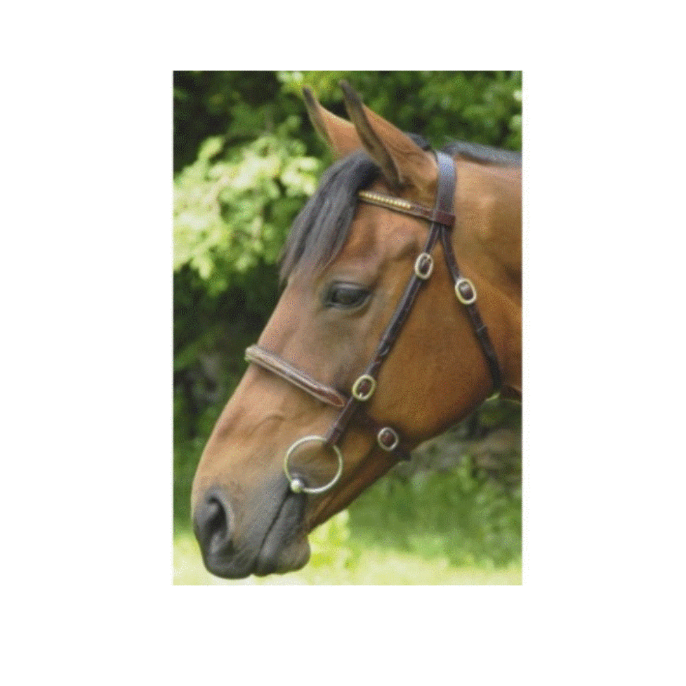 Celtic In Hand Bridle -Brass - Connemara Horse & Country