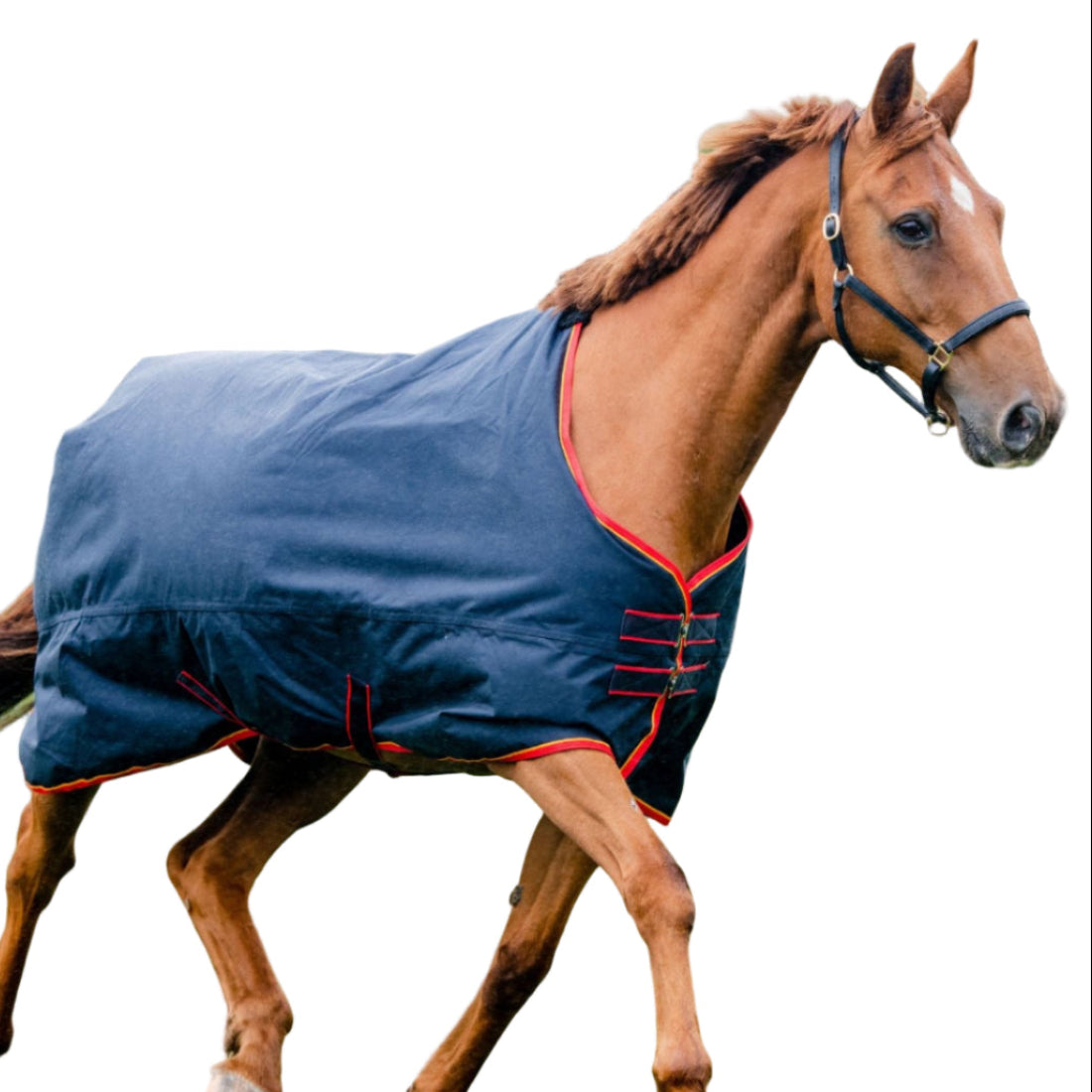 Equisential Turnout Rug