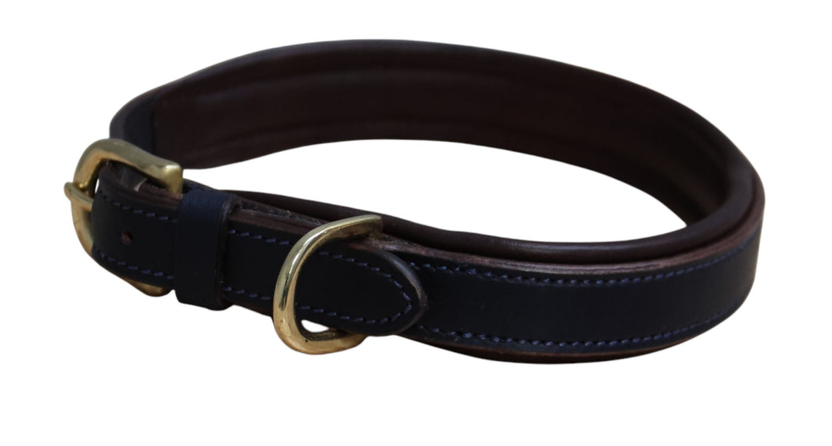 Mackey Padded Dog Collar & Leads